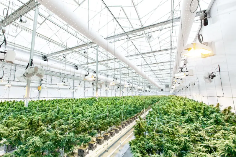 基于中医养生的慢性病健康管理方案设计思路与关键技术