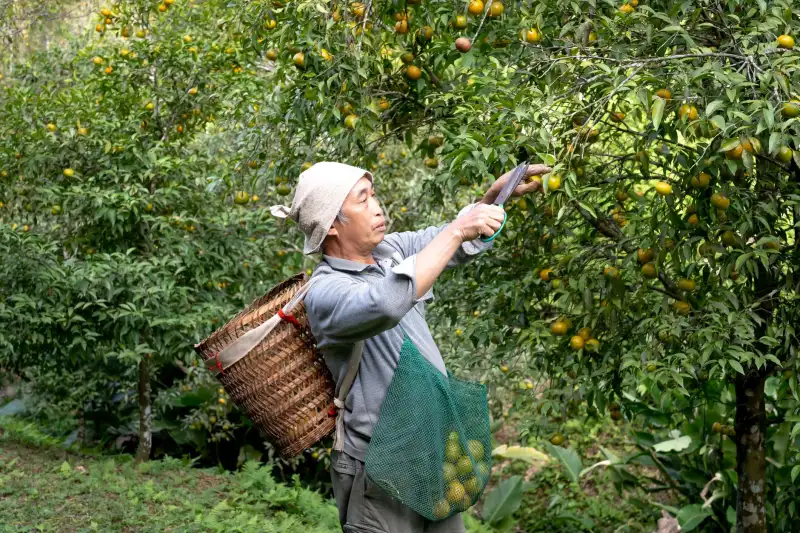 企业健康管理服务方案：体检预约与慢病干预如何实现一站式落地
