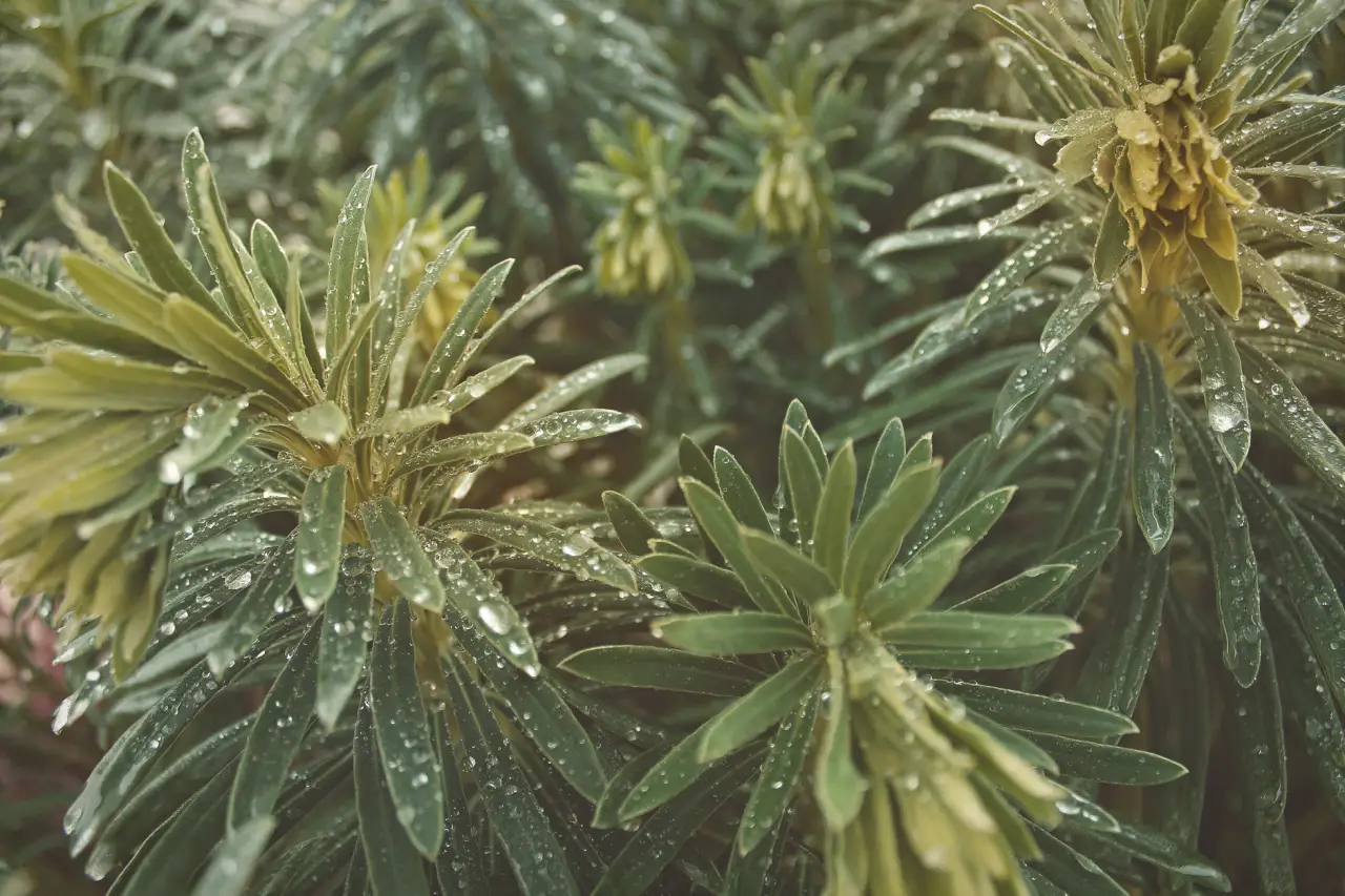 北京企业员工体检预约与慢性病健康管理方案设计要点解析