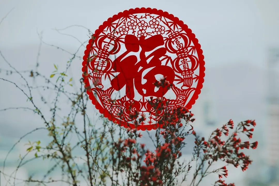 2024年中医养生与健康管理服务模式对比：线上预约与线下指导的融合