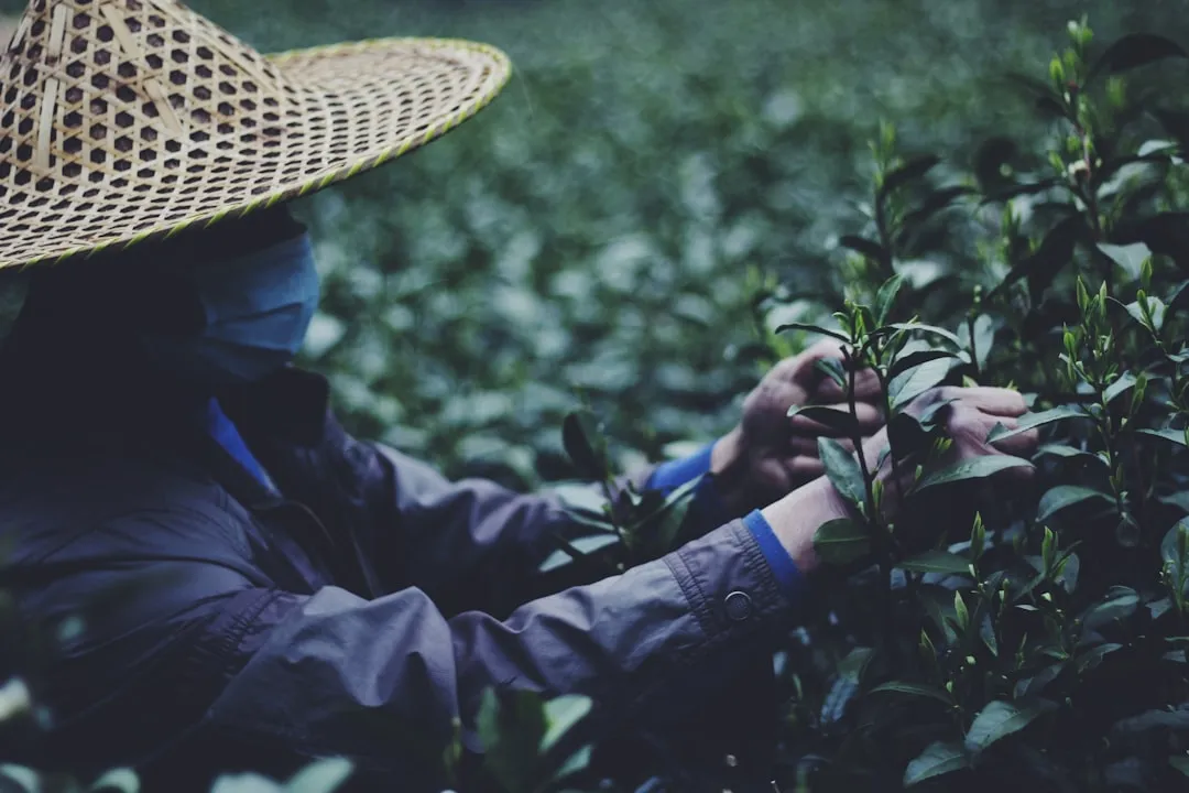 企业员工体检套餐对比:从基础筛查到慢病干预的定制化选择