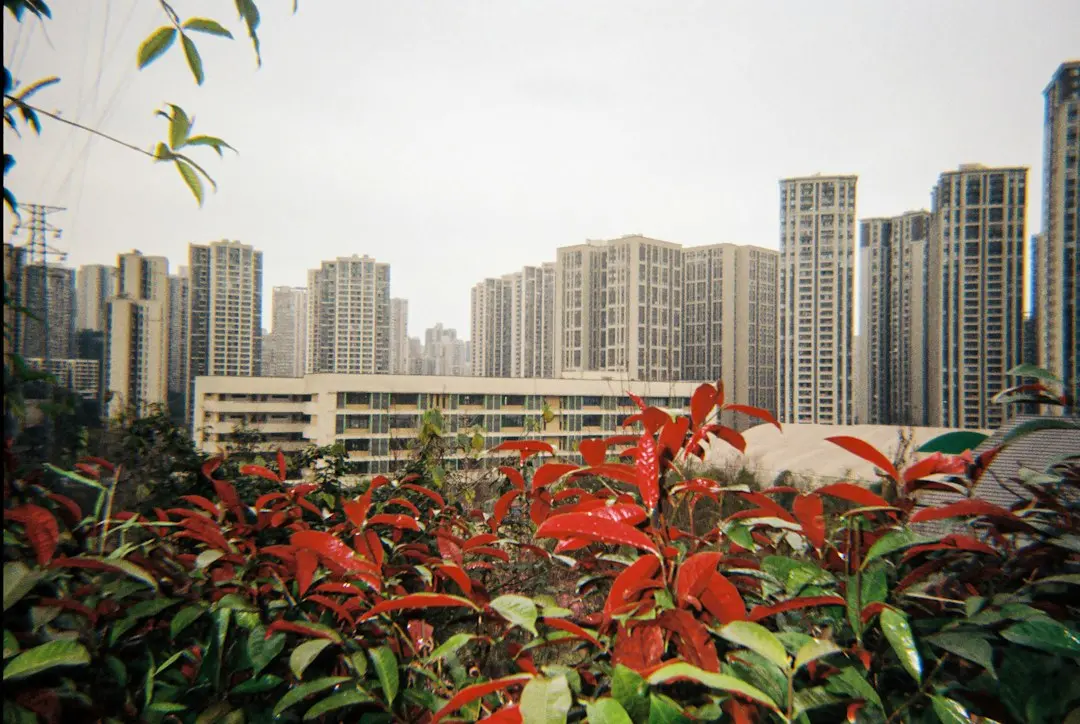 中医养生指导融入职场健康管理，北京青云牛健康科技的服务实践